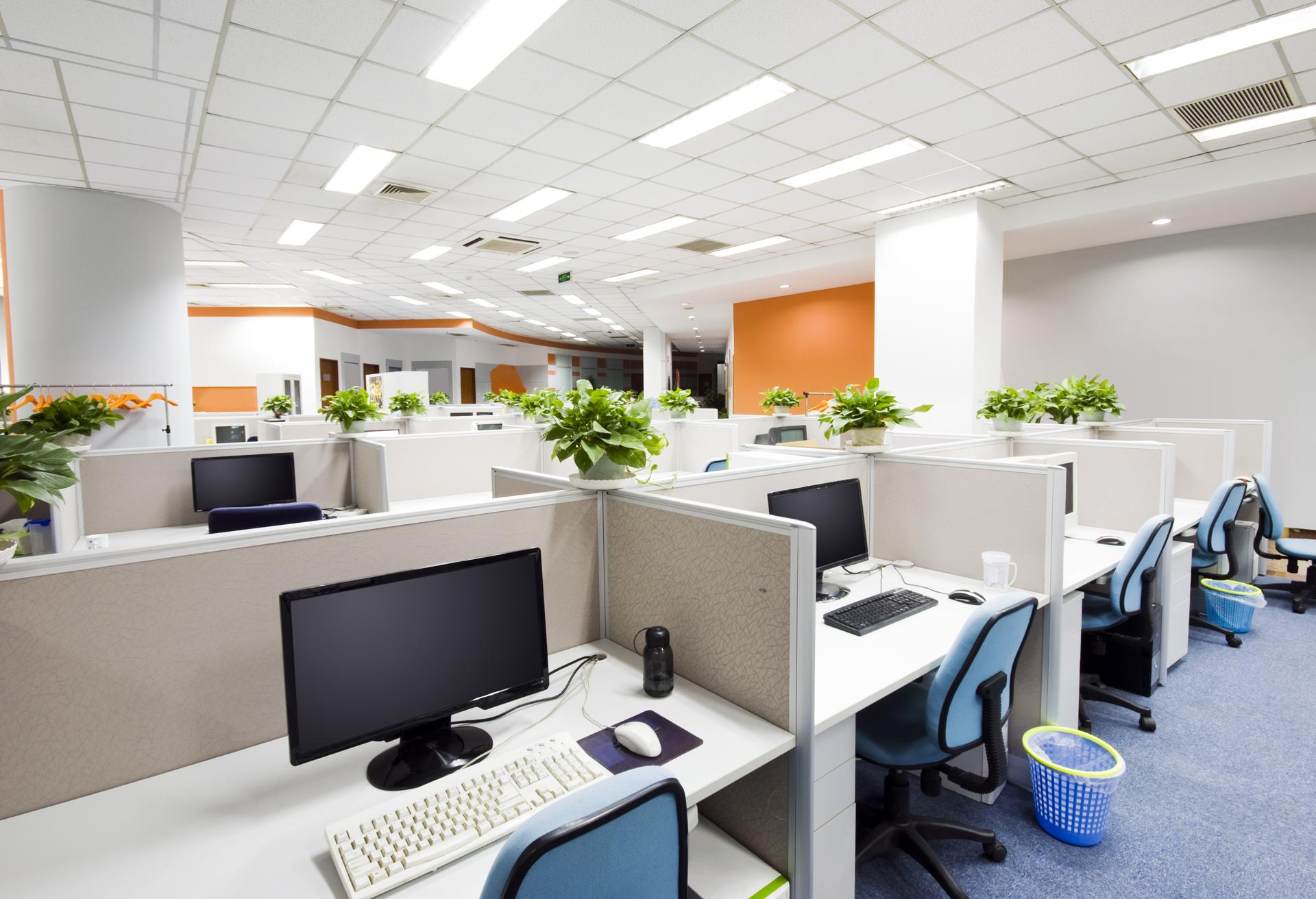 Cost-Effective Commercial Cleaning in Campbelltown
